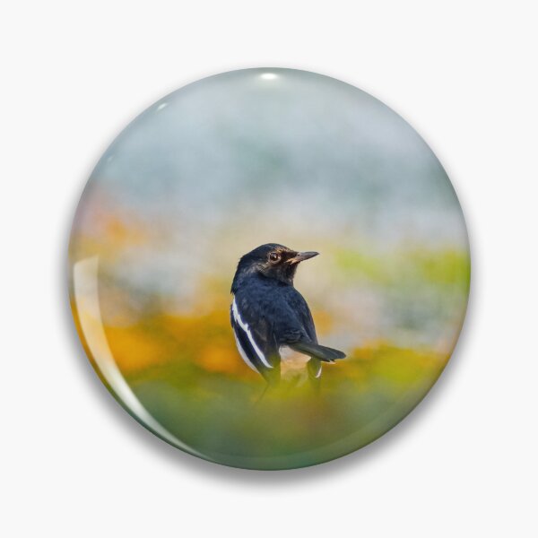 Item preview, Oriental Magpie Robin in a Field of Colors designed and sold by Jomsunshine.