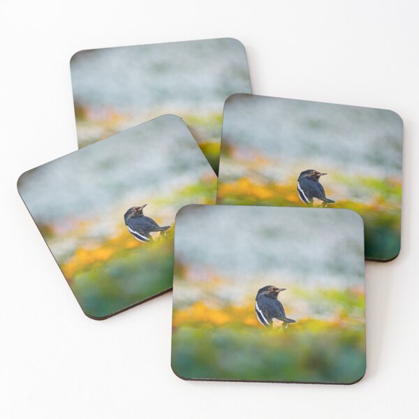 Item preview, Oriental Magpie Robin in a Field of Colors designed and sold by Jomsunshine.