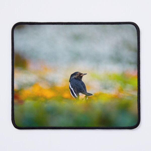 Item preview, Oriental Magpie Robin in a Field of Colors designed and sold by Jomsunshine.