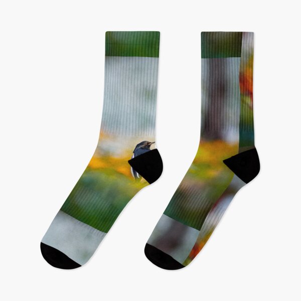 Item preview, Oriental Magpie Robin in a Field of Colors designed and sold by Jomsunshine.