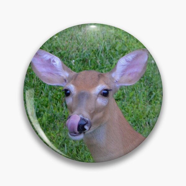 Item preview, A yummy rest designed and sold by DeerestPhotos.