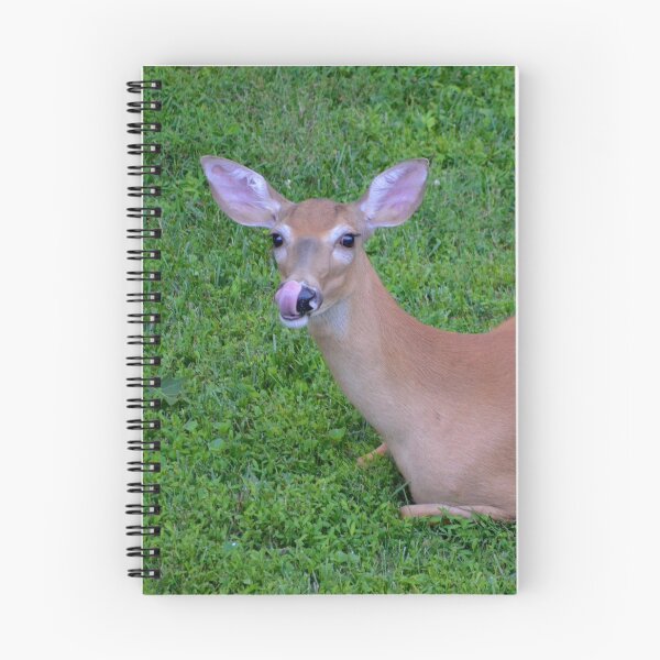Item preview, A yummy rest designed and sold by DeerestPhotos.