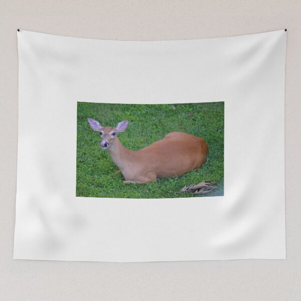 Item preview, A yummy rest designed and sold by DeerestPhotos.