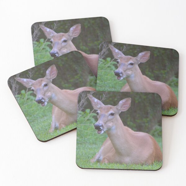 Item preview, Greetings, human with camera! designed and sold by DeerestPhotos.