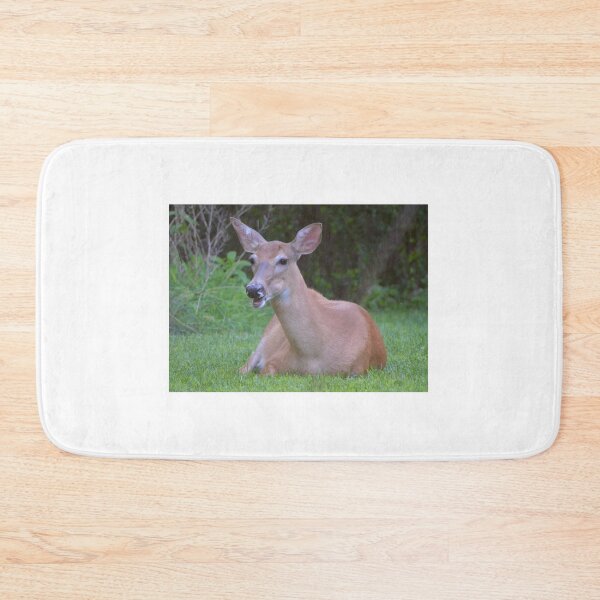 Item preview, Greetings, human with camera! designed and sold by DeerestPhotos.