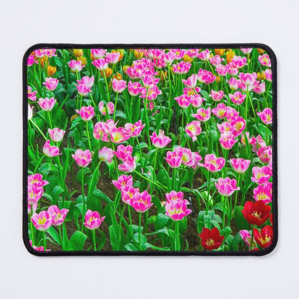 Item preview, Colorful Tulip Field After Rain designed and sold by Jomsunshine.