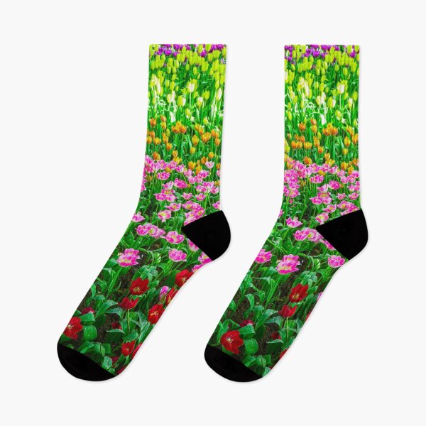 Item preview, Colorful Tulip Field After Rain designed and sold by Jomsunshine.
