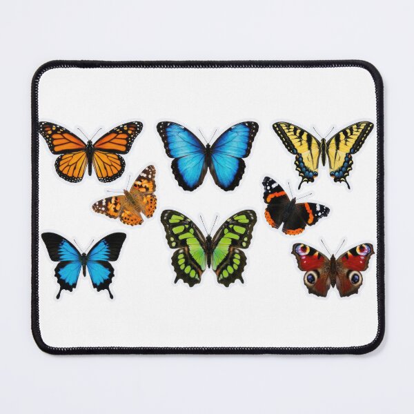 Item preview, Realistic Butterflies Bundle designed and sold by RamsesLw.