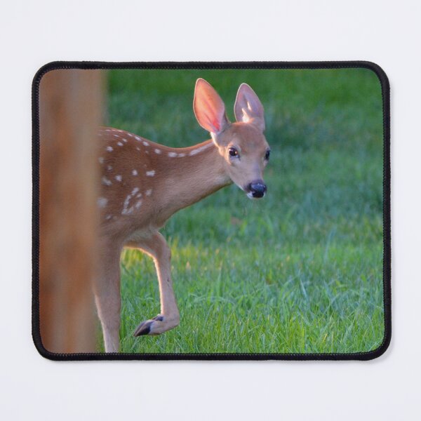 Item preview, Hide and Seek designed and sold by DeerestPhotos.