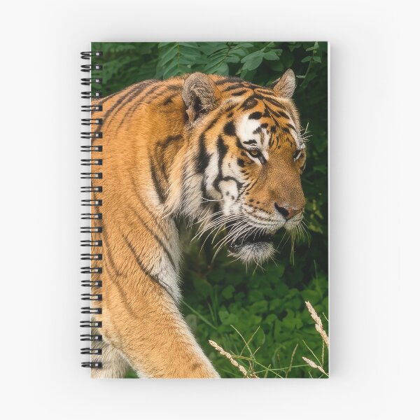 Item preview, Tiger on the Hill designed and sold by Neon Jungle.