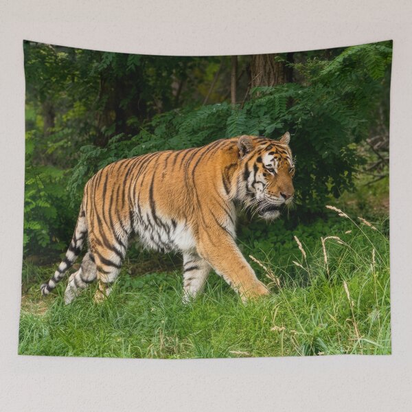 Item preview, Tiger on the Hill designed and sold by Neon Jungle.