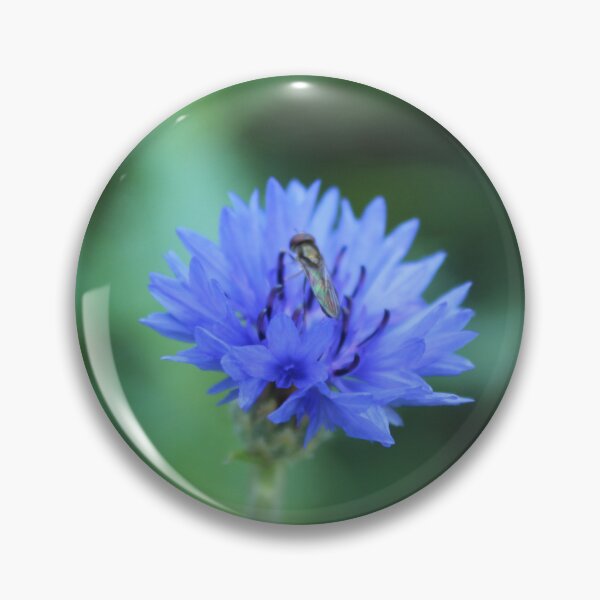 Item preview, Blue cornflower & ovherfly - Botanical macro nature photography designed and sold by Cha-s-lens.