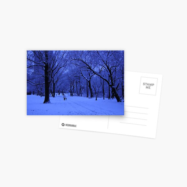 NICE WALK. Postcard
