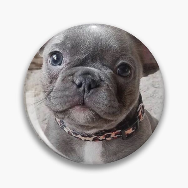 Item preview, cute French bulldog puppy   designed and sold by FawnPurpleHeart.