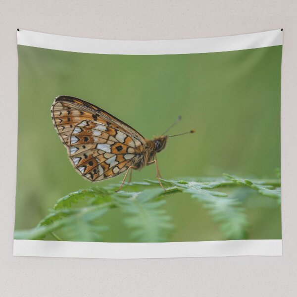 Item preview, Small Pearl Bordered fritillary butterfly designed and sold by wildlifephoto.