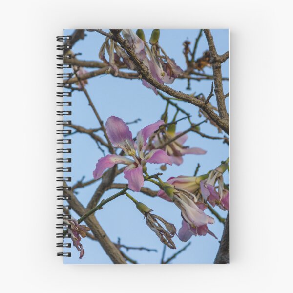 Item preview, Pink Blossoms on Bare Tree Branches Against Clear Blue Sky in Early Spring Morning designed and sold by Nmallia.