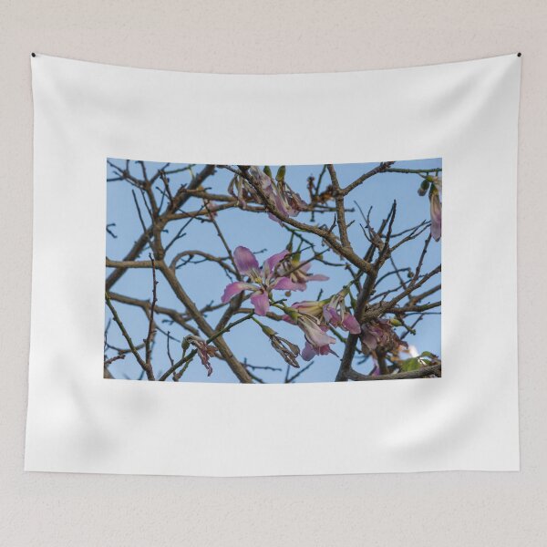 Item preview, Pink Blossoms on Bare Tree Branches Against Clear Blue Sky in Early Spring Morning designed and sold by Nmallia.