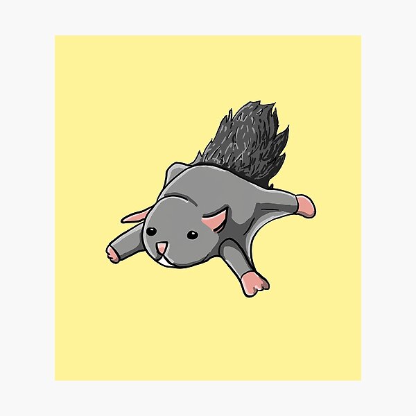 Item preview, Flying Squirrel designed and sold by Chaotic-Koala.