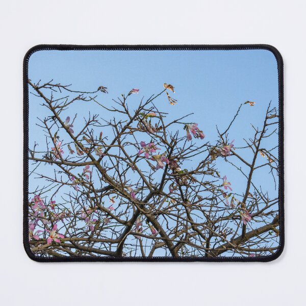 Item preview, Pink Blossom Tree Branches Against Clear Blue Sky In Early Spring Morning designed and sold by Nmallia.
