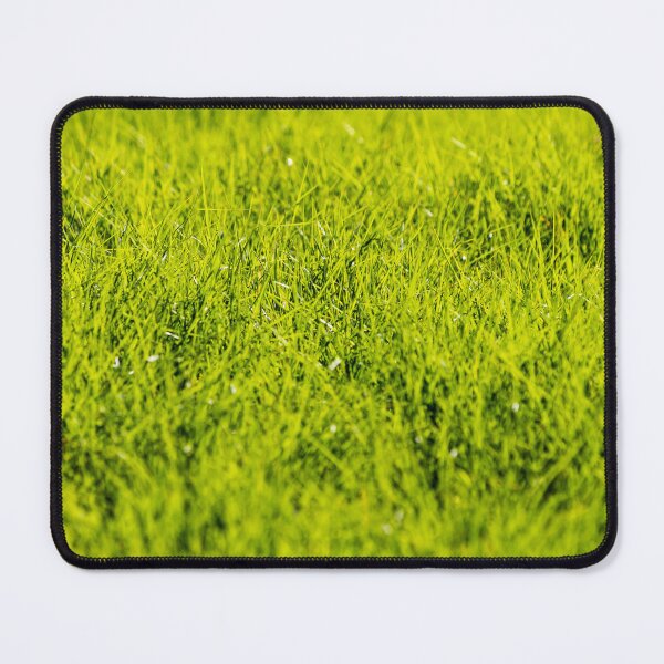 Item preview, Vibrant Green Grass Lawn Close-Up With Fresh Blades and Natural Texture in Sunlight designed and sold by Nmallia.