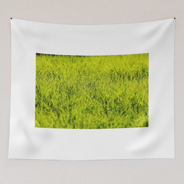 Item preview, Vibrant Green Grass Lawn Close-Up With Fresh Blades and Natural Texture in Sunlight designed and sold by Nmallia.