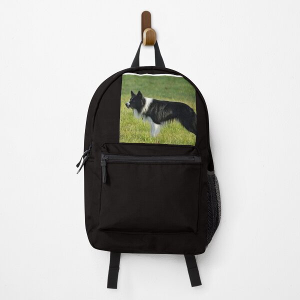 Item preview, Beautiful border collie dog designed and sold by FawnPurpleHeart.
