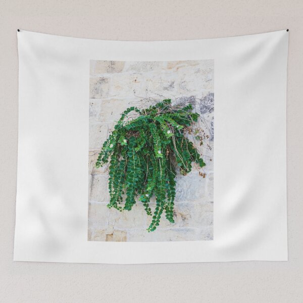 Item preview, Green Hanging Creeping Plant With Round Leaves And Small White Flowers Cascading Over Rustic Stone Wall designed and sold by Nmallia.