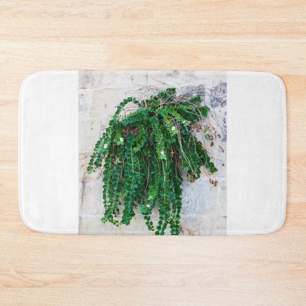 Item preview, Green Hanging Creeping Plant With Round Leaves And Small White Flowers Cascading Over Rustic Stone Wall designed and sold by Nmallia.