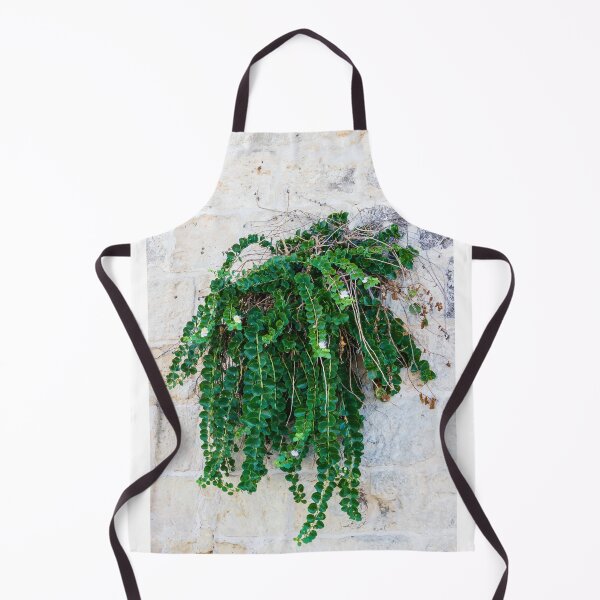 Item preview, Green Hanging Creeping Plant With Round Leaves And Small White Flowers Cascading Over Rustic Stone Wall designed and sold by Nmallia.