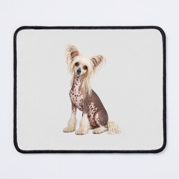 Item preview, Chinese Crested Dog designed and sold by BackgroundND.