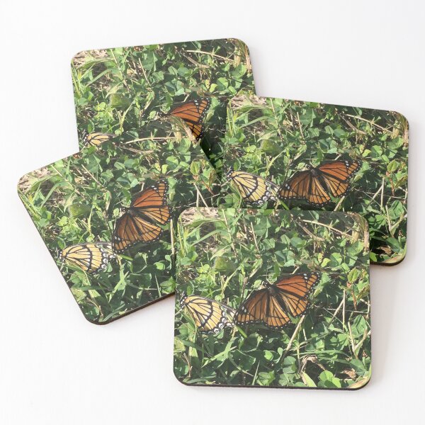 Item preview, Monarch Butterfly, no filter photograph designed and sold by GiSilver.