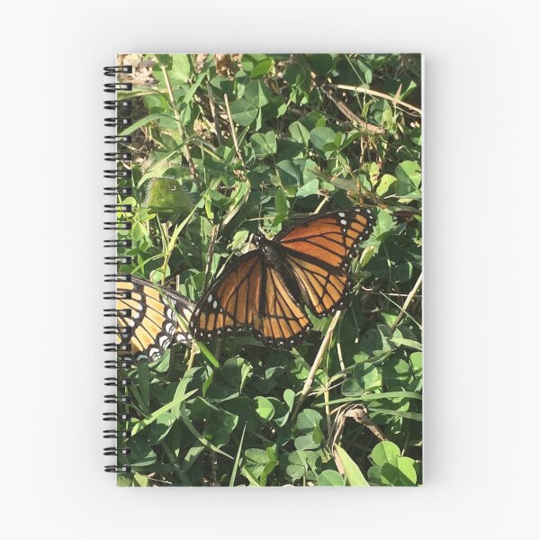 Item preview, Monarch Butterfly, no filter photograph designed and sold by GiSilver.