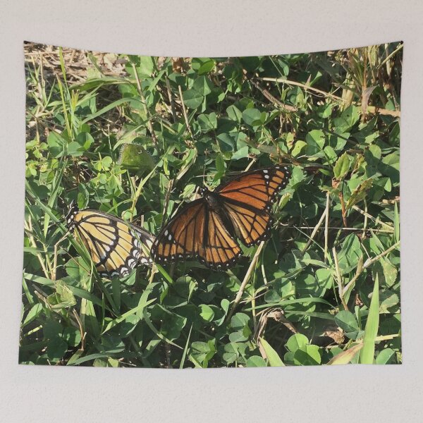 Item preview, Monarch Butterfly, no filter photograph designed and sold by GiSilver.