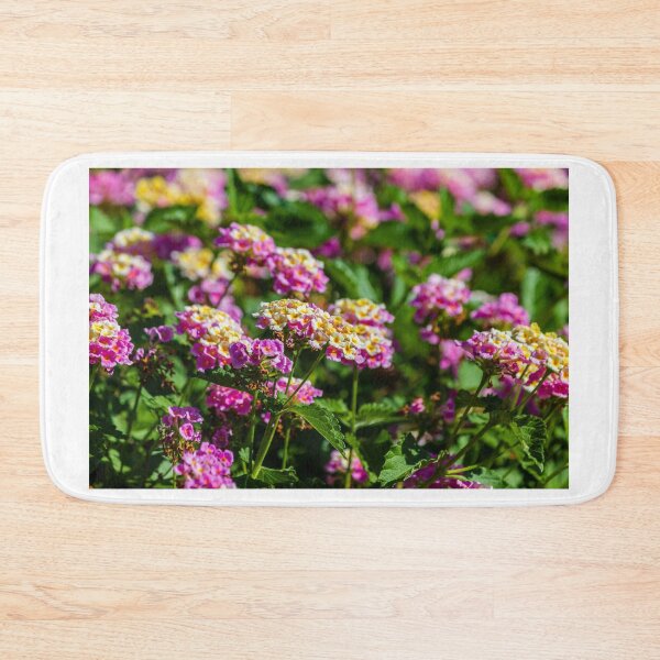 Item preview, Pink and Yellow Lantana Flowers Close-Up in Sunlit Garden With Clustered Blooms and Green Foliage designed and sold by Nmallia.