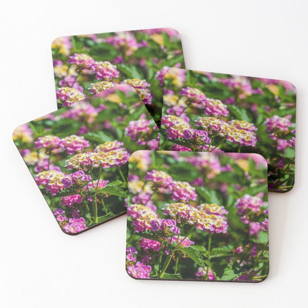 Item preview, Pink and Yellow Lantana Flowers Close-Up in Sunlit Garden With Clustered Blooms and Green Foliage designed and sold by Nmallia.