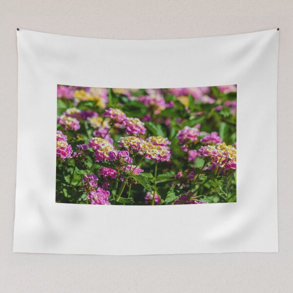 Item preview, Pink and Yellow Lantana Flowers Close-Up in Sunlit Garden With Clustered Blooms and Green Foliage designed and sold by Nmallia.