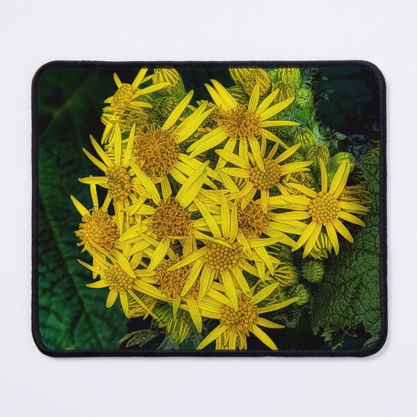 Item preview, Bundle & Save designed and sold by Steve Walser.