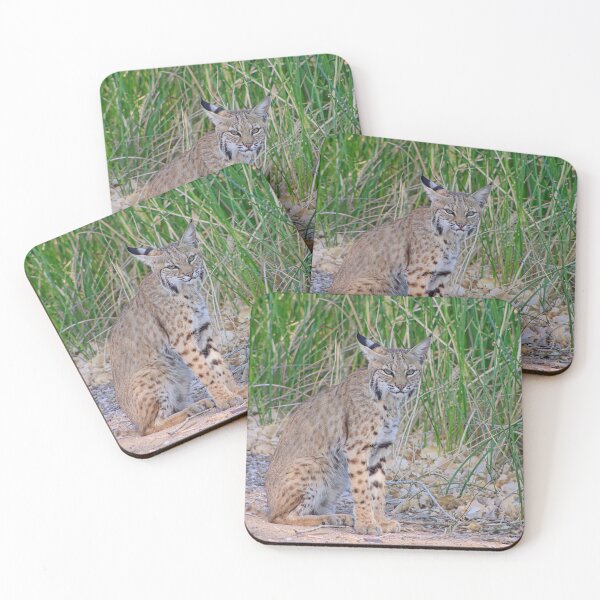 Item preview, Cool Looking Bobcat designed and sold by simonjayphotos.