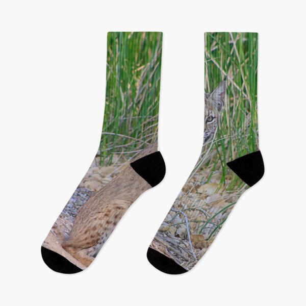Item preview, Cool Looking Bobcat designed and sold by simonjayphotos.