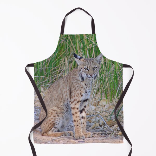 Item preview, Cool Looking Bobcat designed and sold by simonjayphotos.