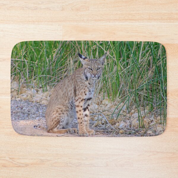 Item preview, Cool Looking Bobcat designed and sold by simonjayphotos.