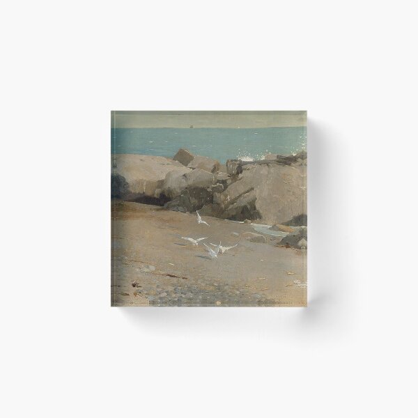 Item preview, Winslow Homer -Rocky Coast and Gulls designed and sold by tomorrowsart.