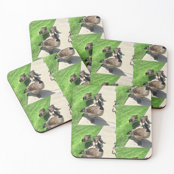 Item preview, Canada Geese Gathering on the Sidewalk designed and sold by KaleChub.
