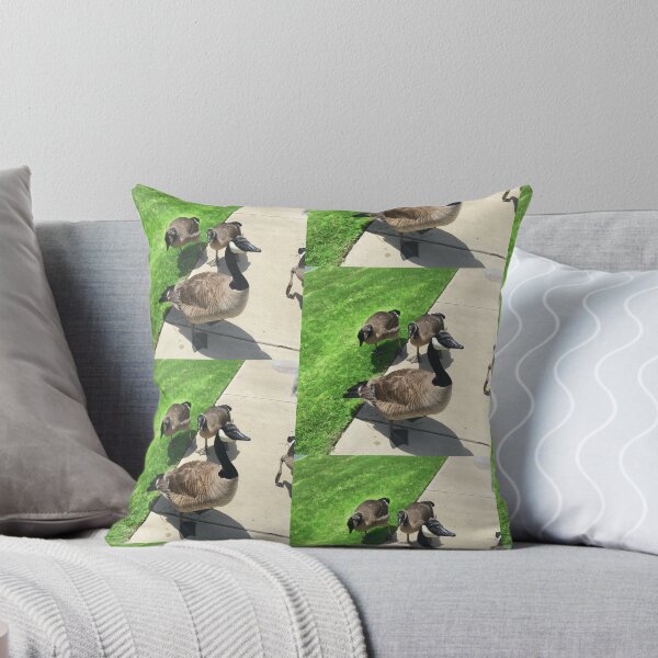 Item preview, Canada Geese Gathering on the Sidewalk designed and sold by KaleChub.