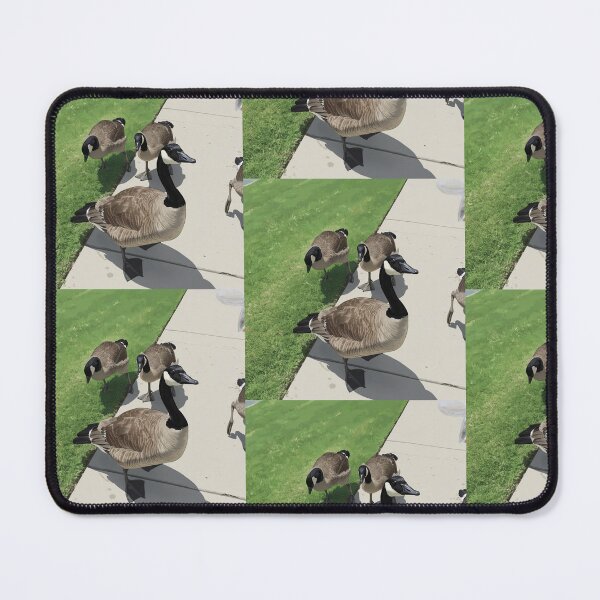 Item preview, Canada Geese Gathering Digital Painting designed and sold by KaleChub.