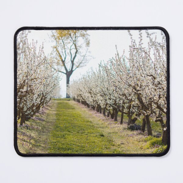 Item preview, Orchard with white blossoms designed and sold by ewawrona.