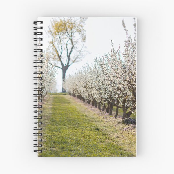 Item preview, Orchard with white blossoms designed and sold by ewawrona.