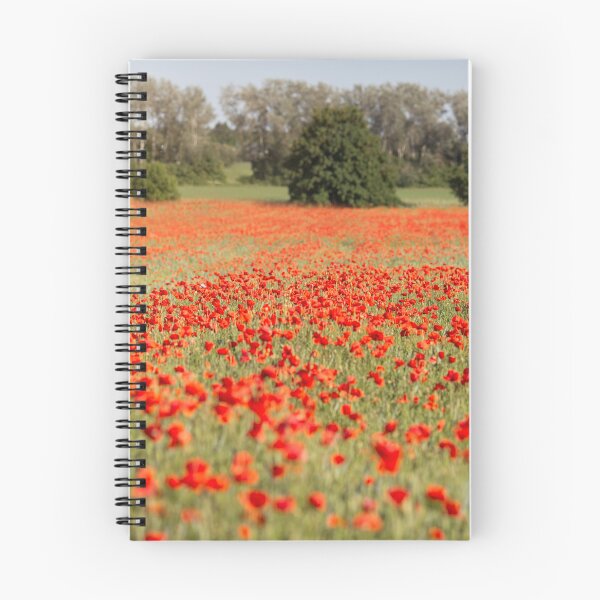 Item preview, Poppy field in Brandenburg designed and sold by ewawrona.