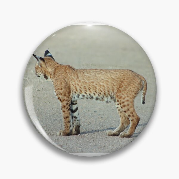 Item preview, Amazing Looking Bobcat designed and sold by simonjayphotos.