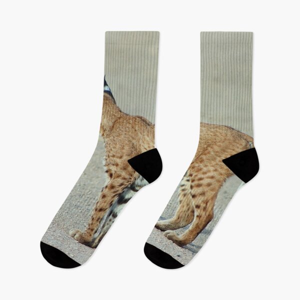 Item preview, Amazing Looking Bobcat designed and sold by simonjayphotos.